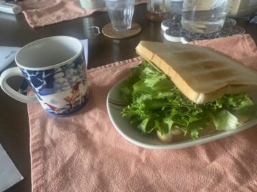 贅沢！自宅でもできる野菜盛り盛りホットサンド