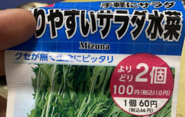 水菜の水耕栽培　観察日記