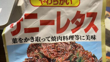 サニーレタス水耕栽培①　観察日記